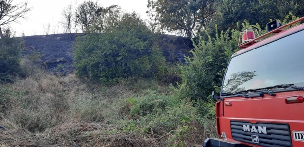 Στα 400 στρέμματα το "κόστος" της πυρκαγιάς 